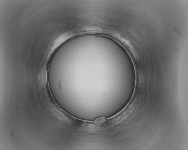 X0000112101365200909011116