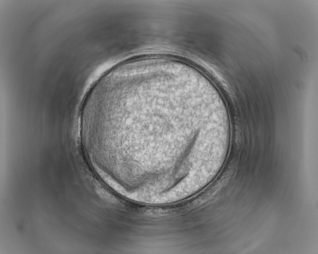 X0000112101366200909011116