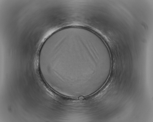 X0000112101367200909011116