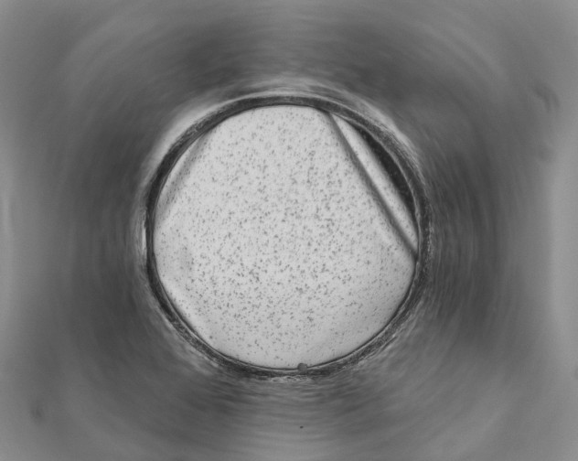 X0000112101368200909011116