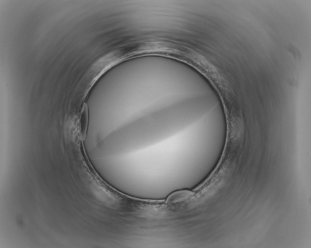 X0000112101369200909011116