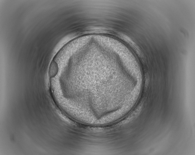 X0000112101370200909011116