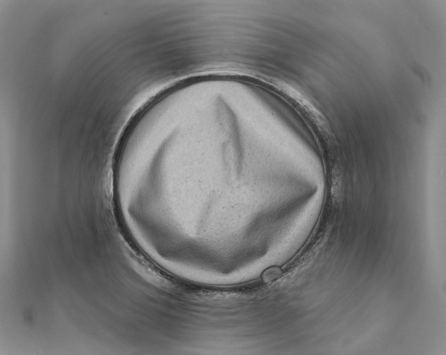X0000112101372200909011116
