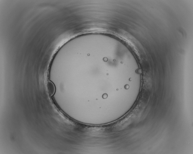 X0000112101373200909011116