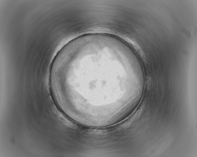 X0000112101374200909011116