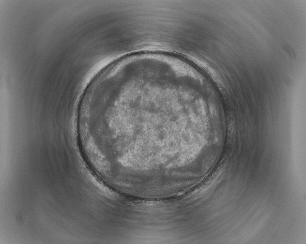 X0000112101375200909011116