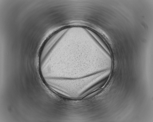 X0000112101376200909011116