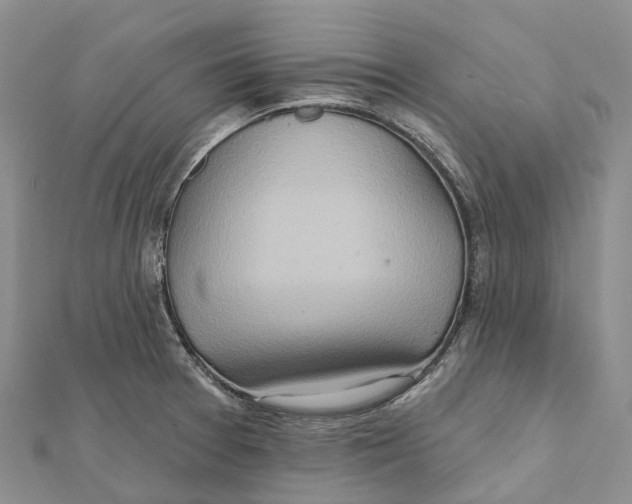 X0000112101377200909011116