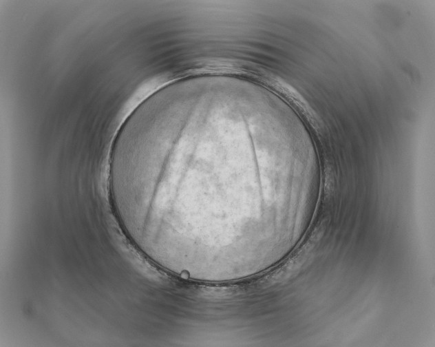 X0000112101378200909011116