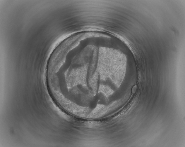 X0000112101379200909011116