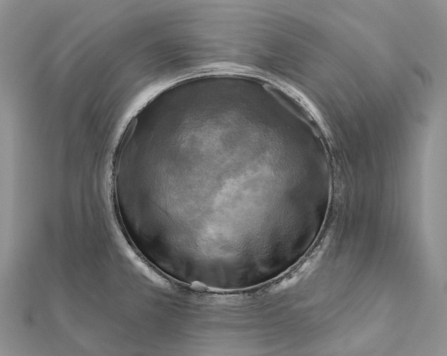 X0000112101381200909011116