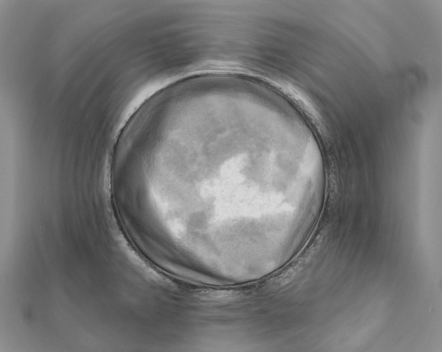 X0000112101382200909011116