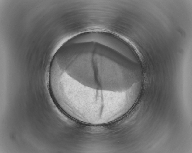 X0000112101383200909011116