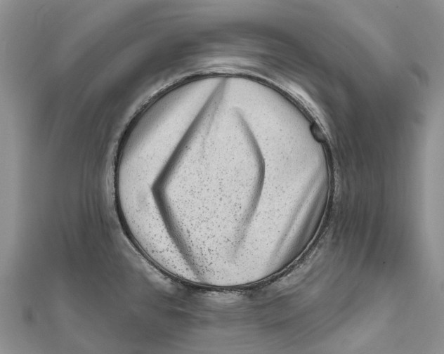 X0000112101384200909011116