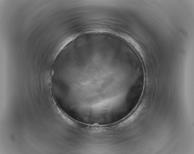 X0000112101385200909011116