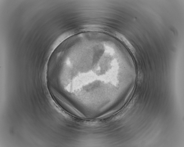 X0000112101386200909011116