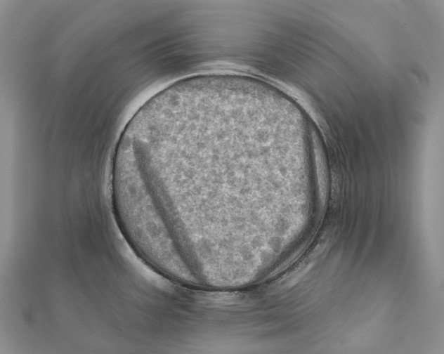 X0000112101387200909011116
