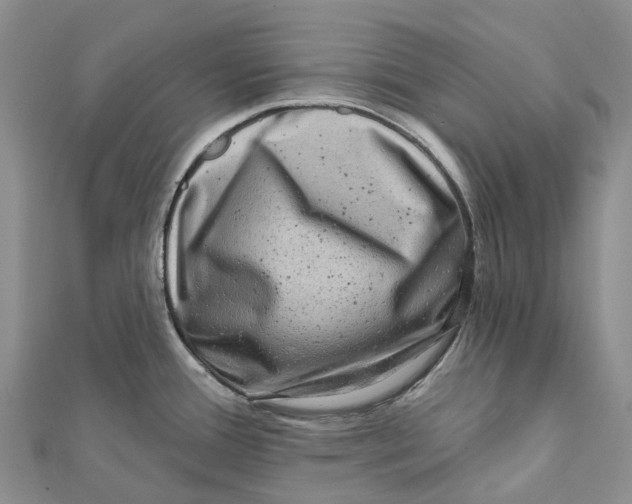 X0000112101388200909011116