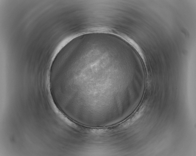 X0000112101389200909011116