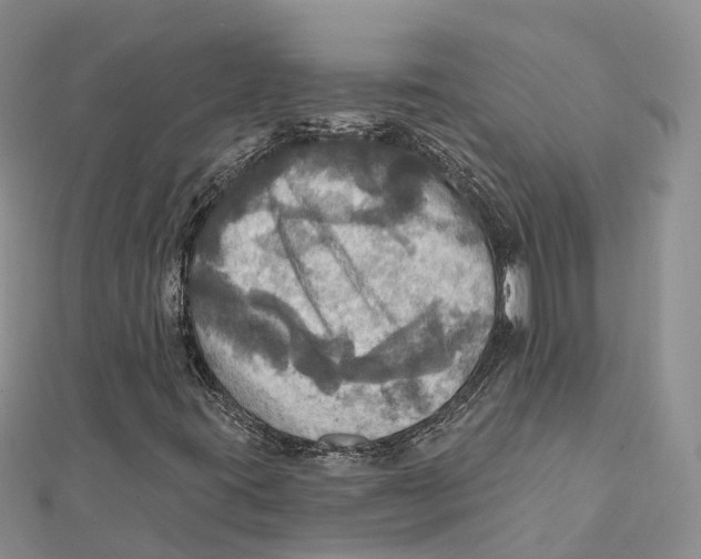 X0000112101395200909011115