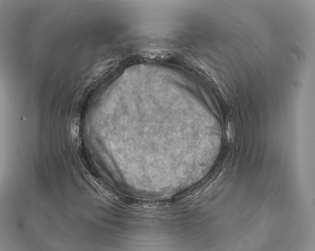 X0000112101396200909011115
