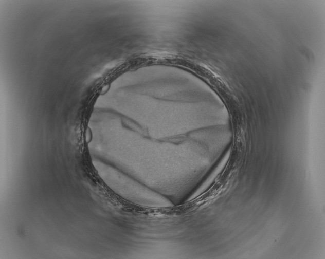 X0000112101398200909011115