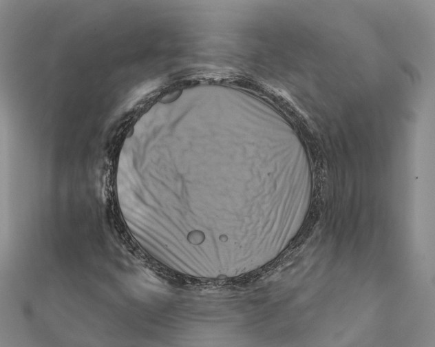 X0000112101399200909011115