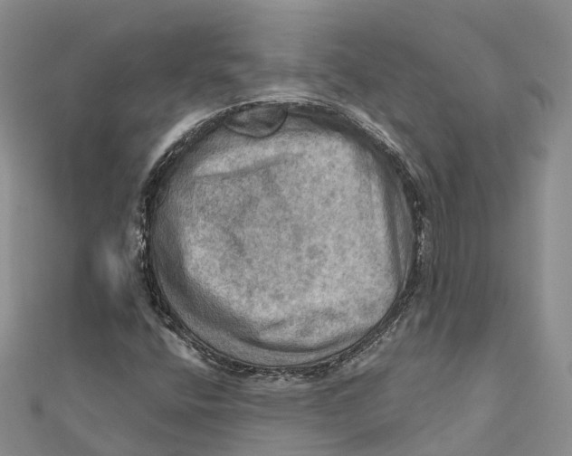 X0000112101400200909011115