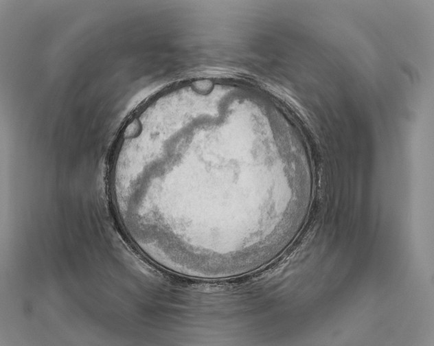 X0000112101404200909011115