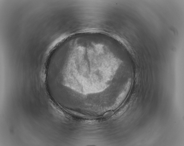 X0000112101406200909011115