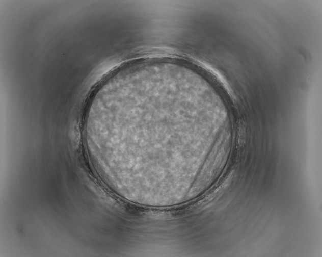 X0000112101407200909011115