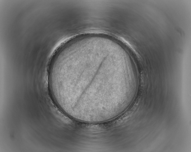 X0000112101408200909011115