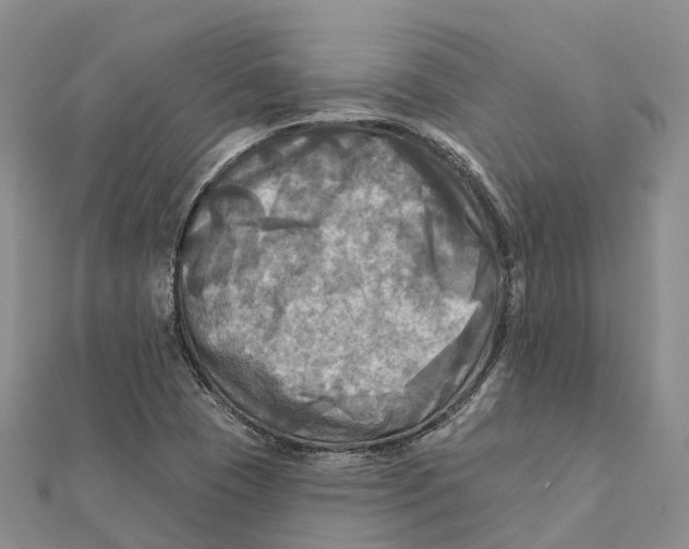 X0000112101409200909011115