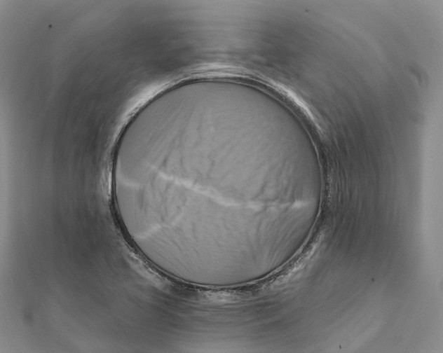 X0000112101413200909011115