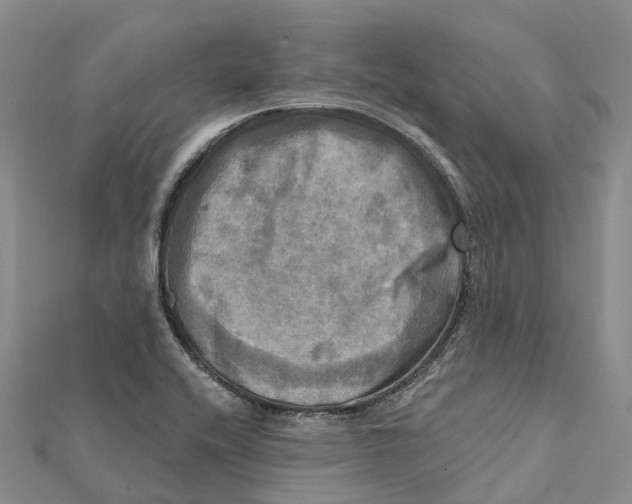 X0000112101416200909011115