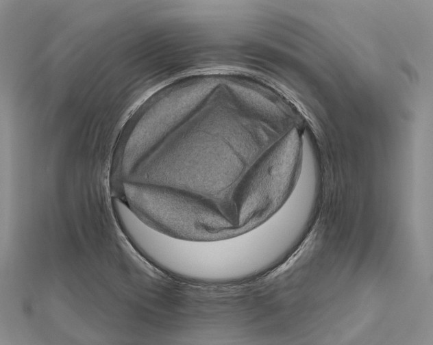 X0000112101417200909011115