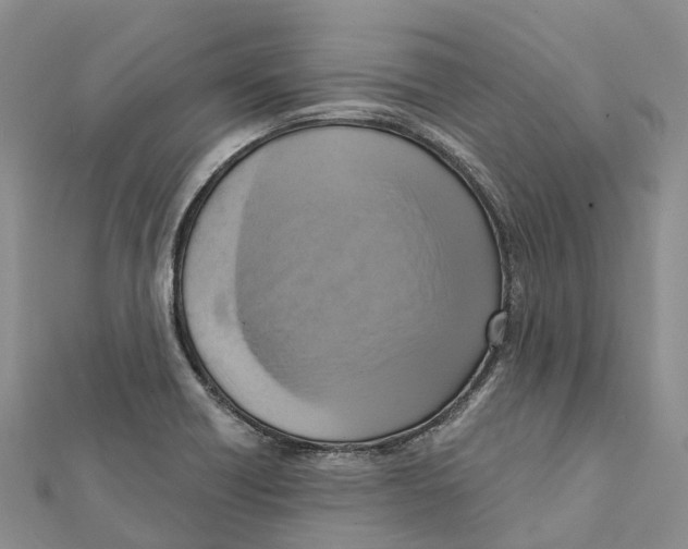 X0000112101418200909011115