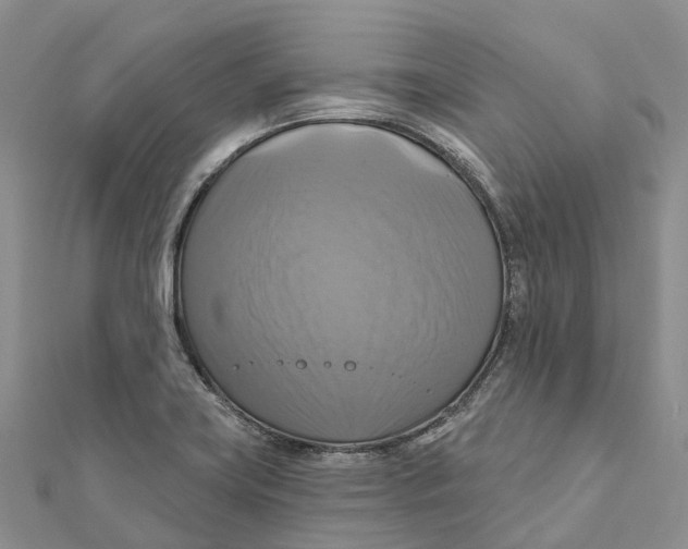 X0000112101419200909011115