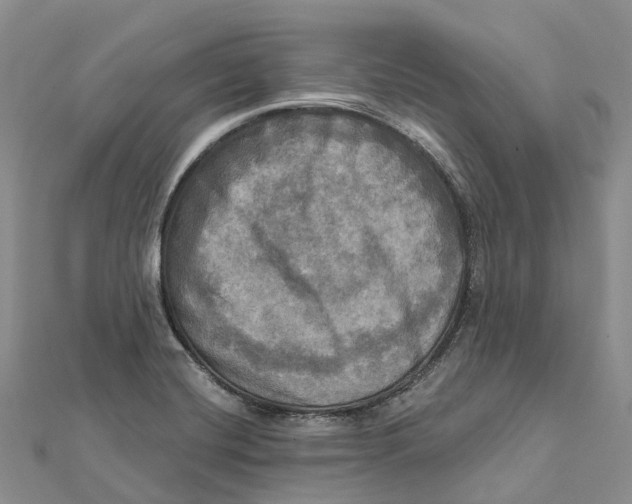 X0000112101420200909011115