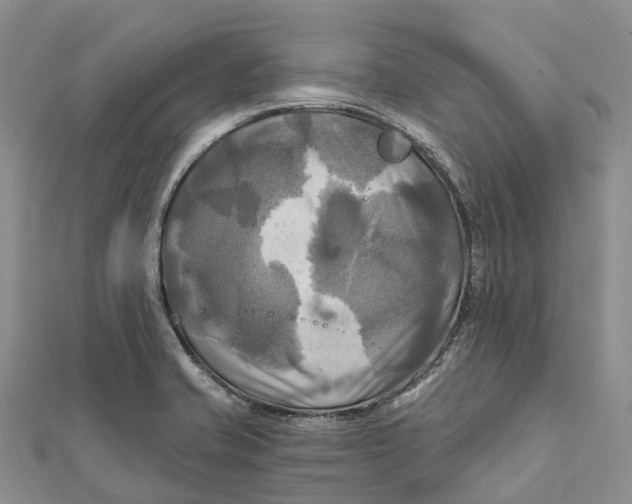 X0000112101421200909011115