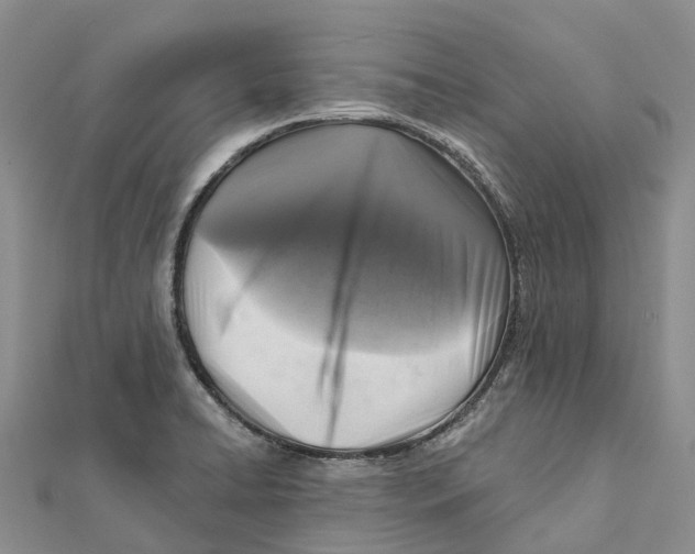 X0000112101422200909011115