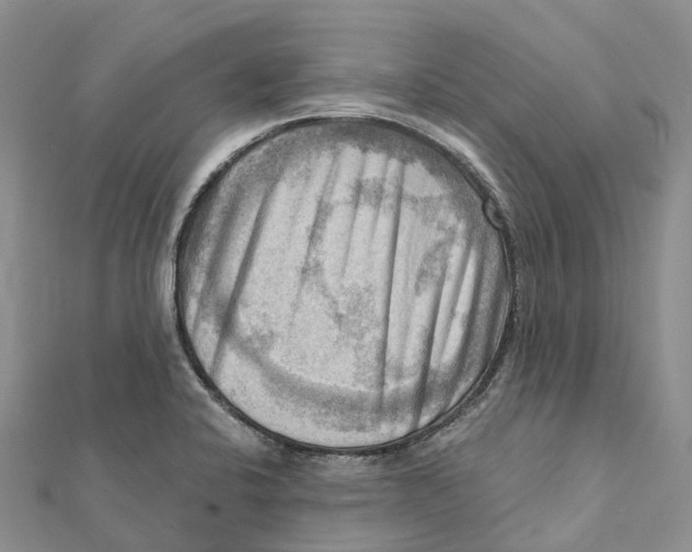 X0000112101424200909011115