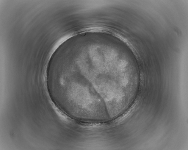 X0000112101426200909011115