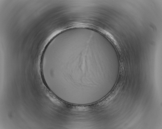 X0000112101427200909011115