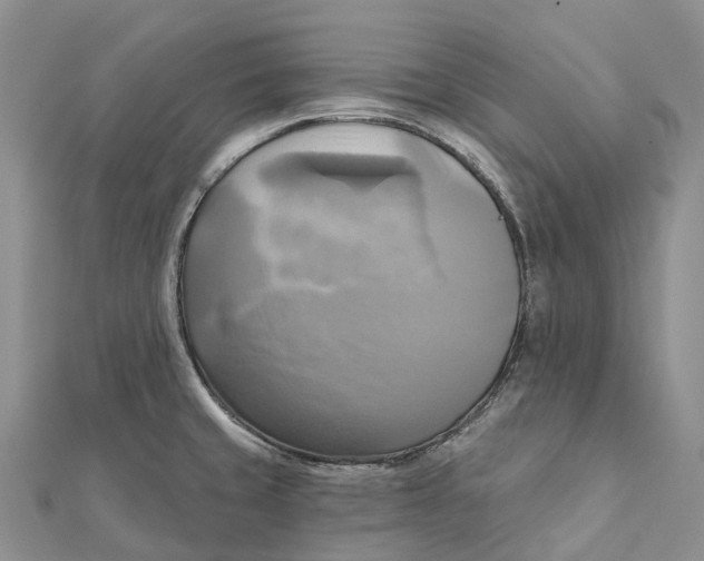 X0000112101429200909011115