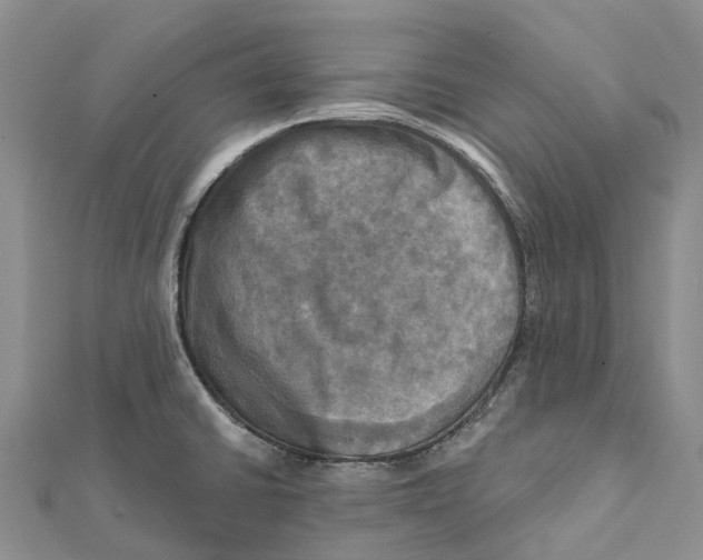 X0000112101430200909011115