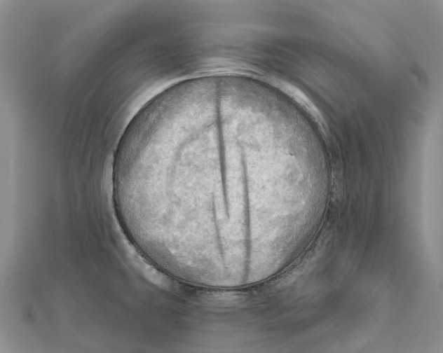 X0000112101431200909011115