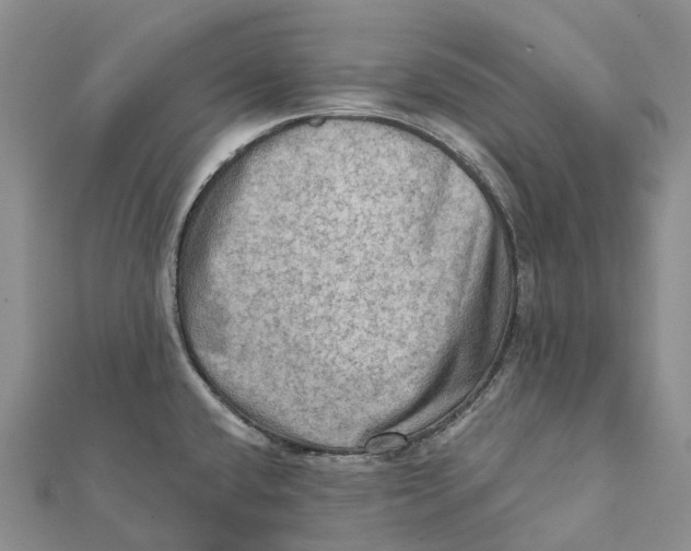 X0000112101432200909011115