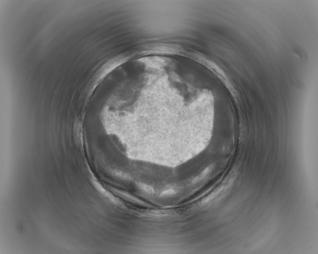 X0000112101433200909011115