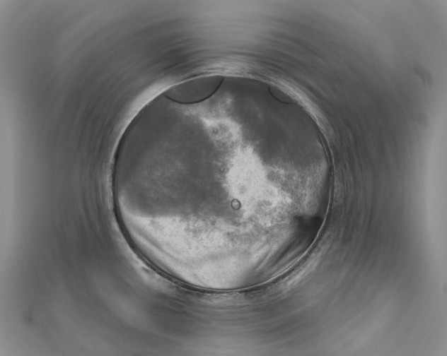 X0000112101434200909011115